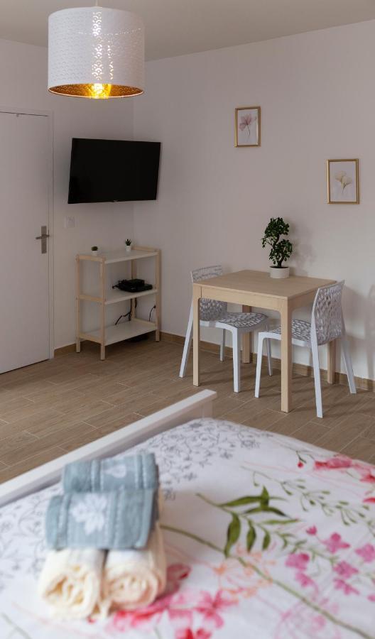 Loc Trotteur Le Pivoine Studio Grand Confort, Gare Sncf De Lourdes Luaran gambar