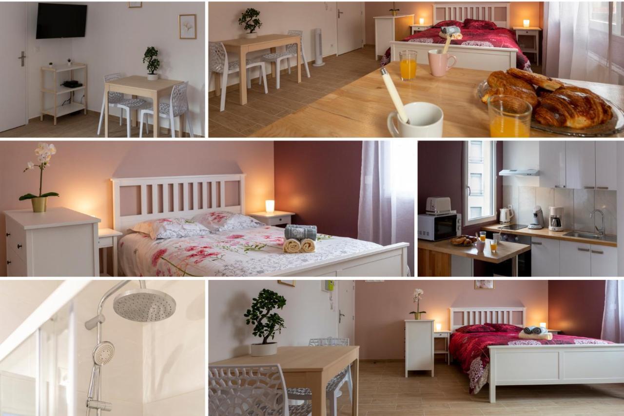 Loc Trotteur Le Pivoine Studio Grand Confort, Gare Sncf De Lourdes Luaran gambar