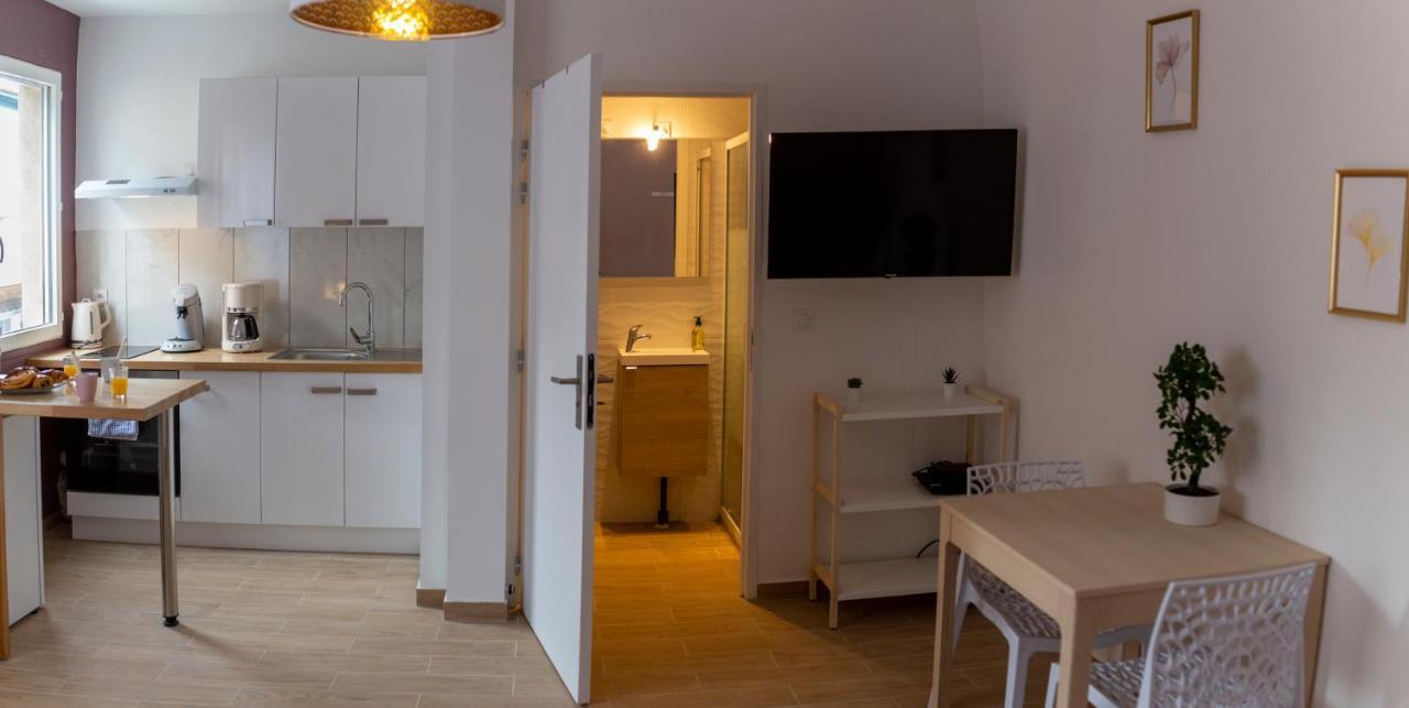 Loc Trotteur Le Pivoine Studio Grand Confort, Gare Sncf De Lourdes Luaran gambar
